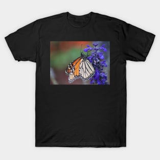 Monarch III T-Shirt